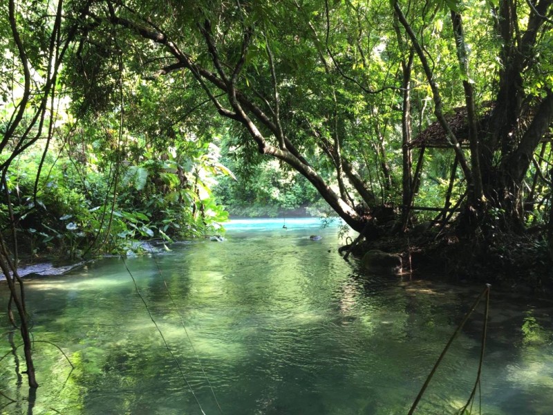 Khám phá Phong Nha - Kẻ Bàng: Kinh nghiệm du lịch