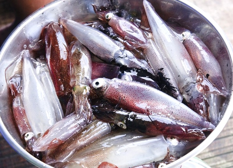 Đặc sản Quảng Bình