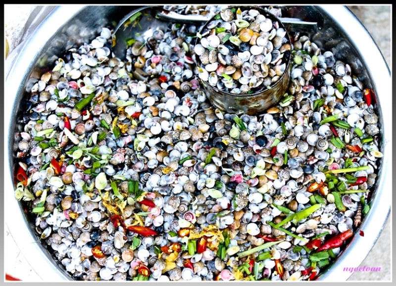 Đặc sản Quảng Bình