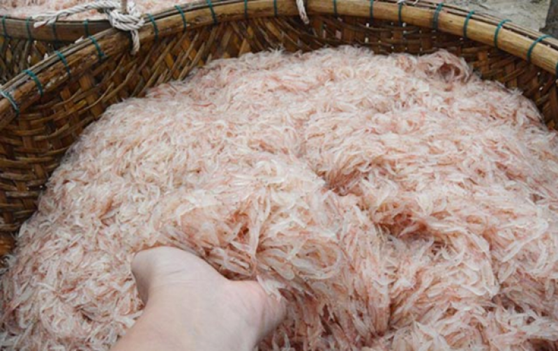 Đặc sản Quảng bình