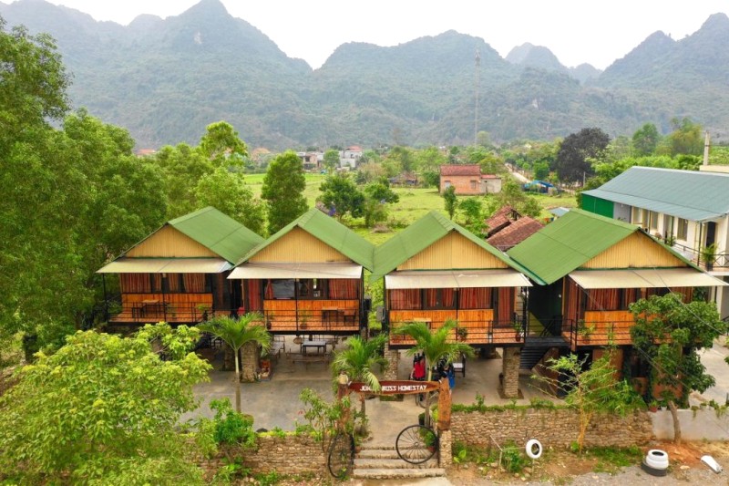 Jungle Boss Homestay: Nghỉ dưỡng bình dân Phong Nha
