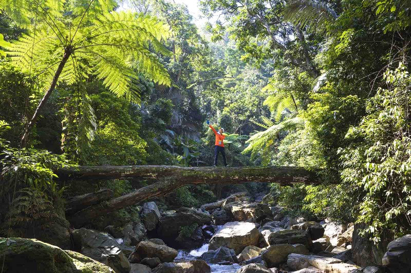 Khu bảo tồn Động Châu Khe Nước trong