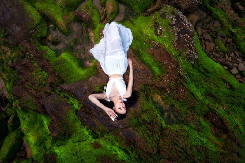 Rêu phong trên biển Đá Nhảy